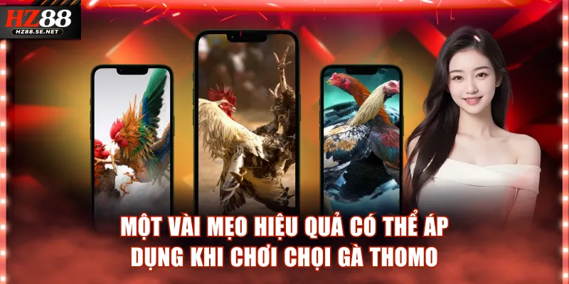 Một vài mẹo chơi chọi gà Thomo hiệu quả cần nắm 